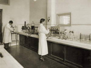 Photograph of "This is followed by chemical analysis..."