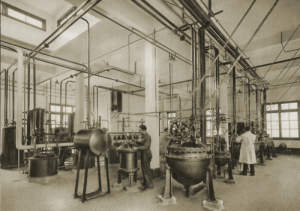 Photograph of "The arsenic acids obtained are used to start the manufacture of arsenobenzenes."