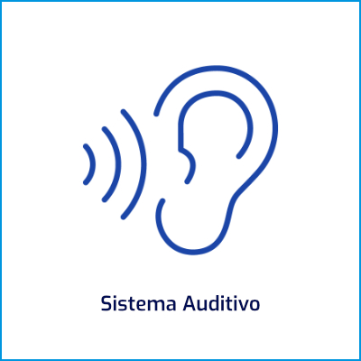 Sistema Auditivo